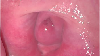 Amateur Pink Pussy: 275 Days Of Raw, Unfiltered Lust Since Losing Her Virginity